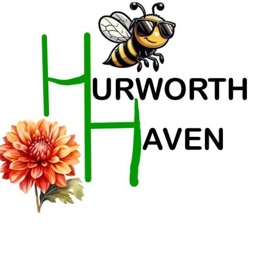 Hurworth Haven Garden and Artist’s Studio